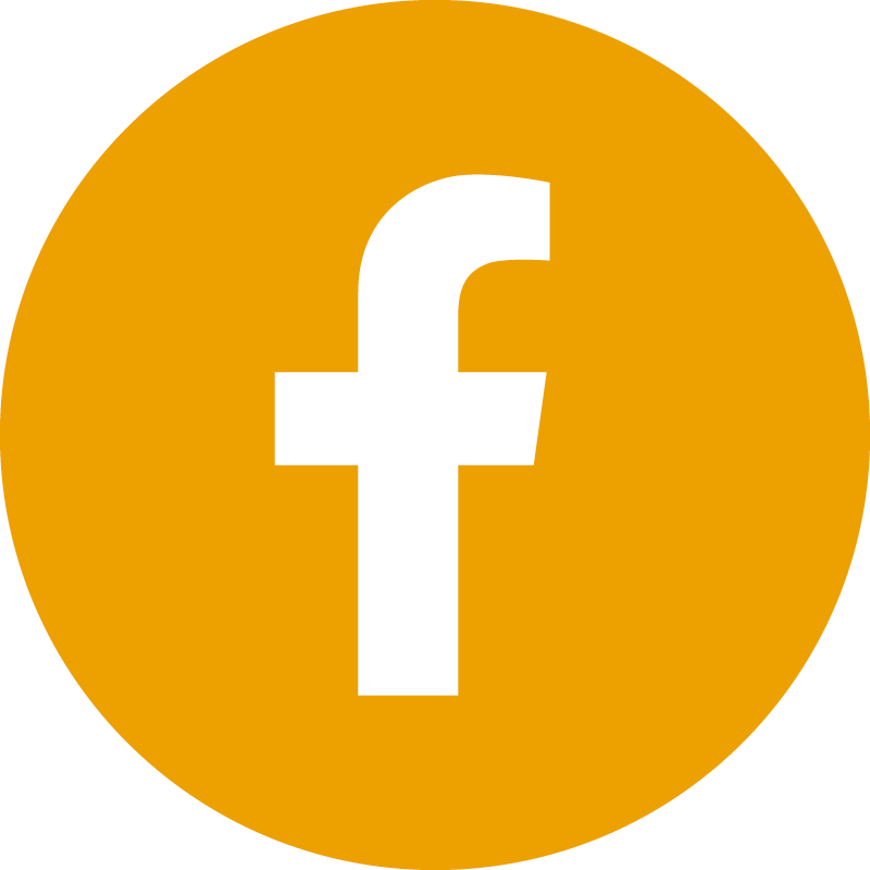 icon facebook