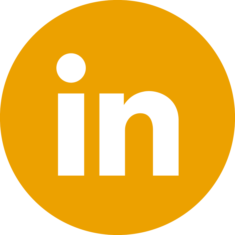 icon linkedin